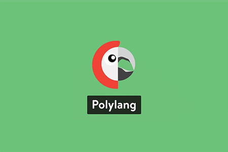 افزونه چند زبانه PolyLang