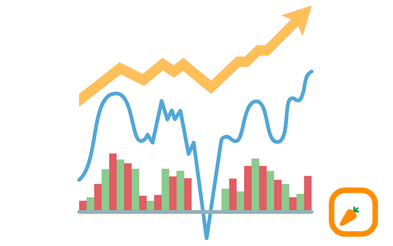 جدیدترین قوانین الگوریتم اینستاگرام (feed)